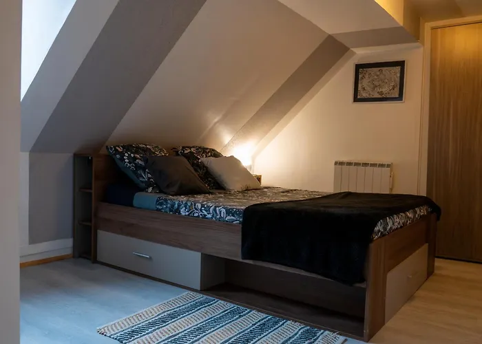 Au Centre Historique Le Vieux Apartment