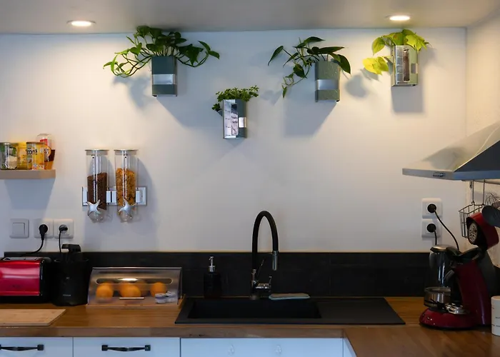 Au Centre Historique Le Vieux Apartment